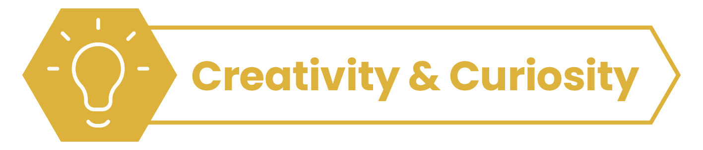 Creativity & Curiosity